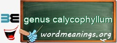 WordMeaning blackboard for genus calycophyllum